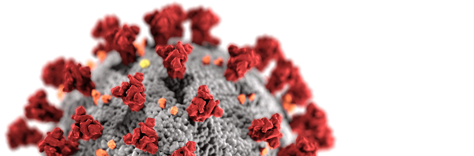 Is Coronavirus COVID-19 covered by international health insurance?